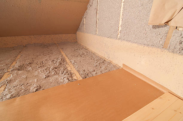 Best Eco-Friendly Insulation in St Joseph, MN